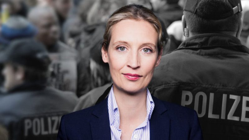 weidel alice fotoafd polizei pixabay fshh 2046407340