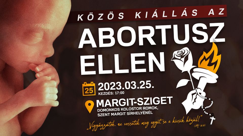 abortuszellen