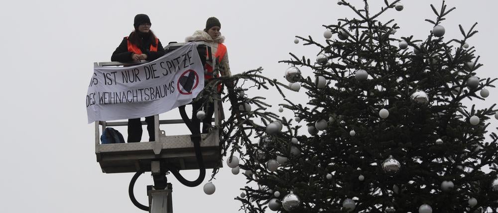 aktivsten kuerzen weihnachtsbaum am brandenburger tor