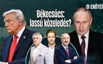 turmpdik