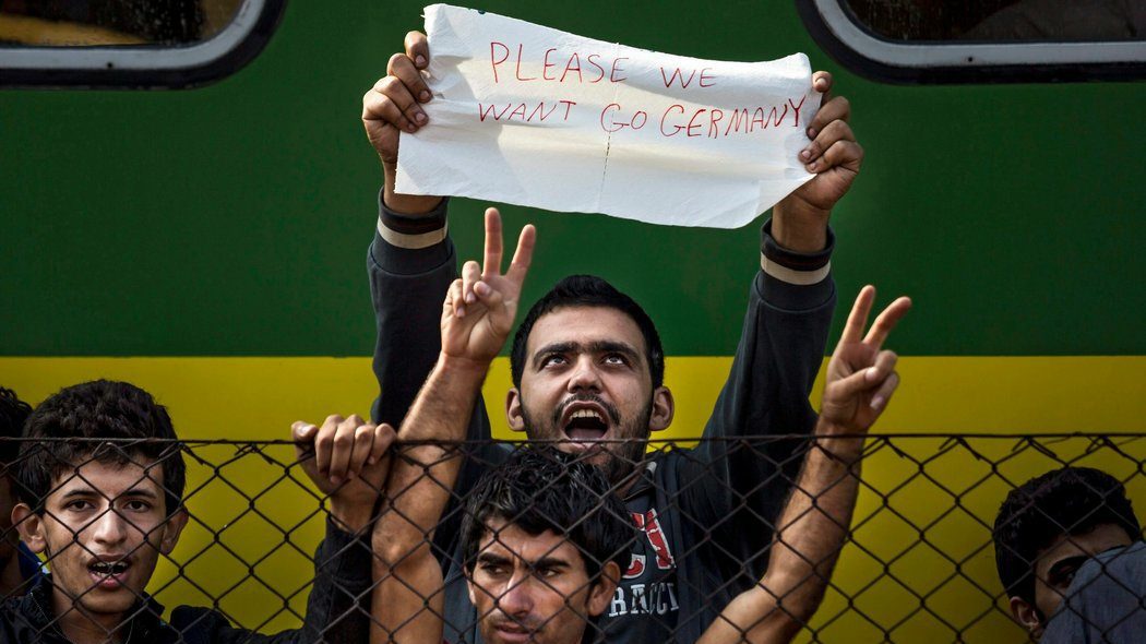 migrants germany